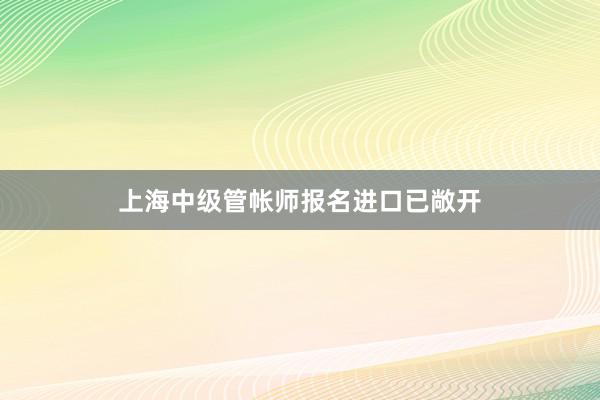 上海中级管帐师报名进口已敞开