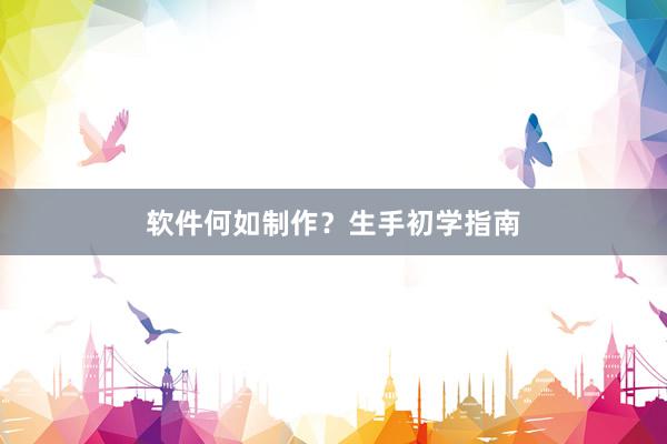 软件何如制作？生手初学指南