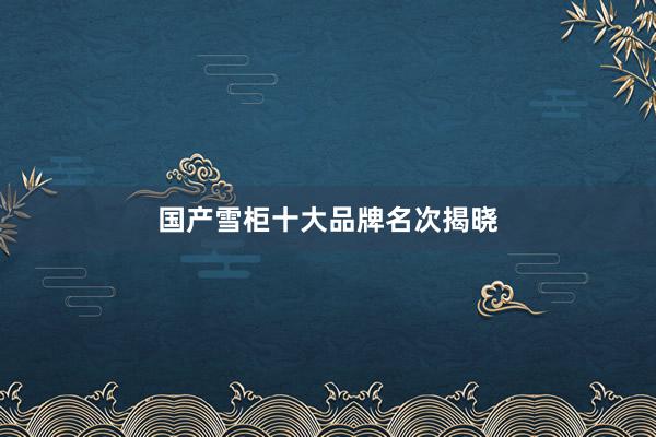 国产雪柜十大品牌名次揭晓
